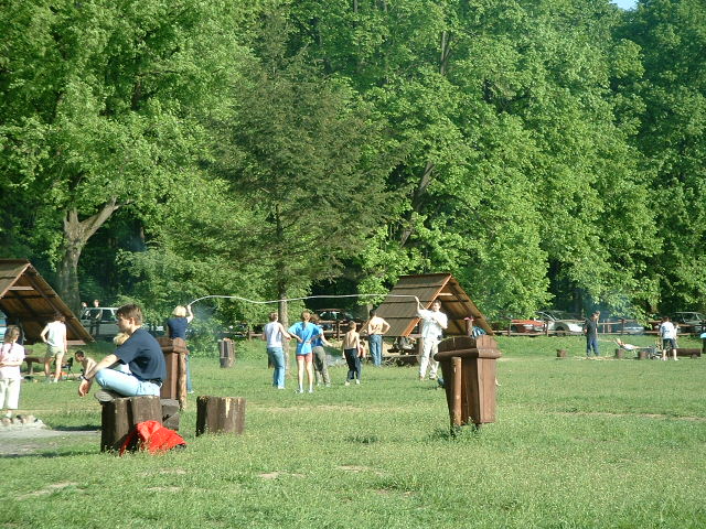 Nie ma to jak na Mlocinach!